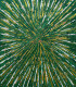 Wild Energy Bloom (PRT-8156-121779) - Canvas Art Print - 16in X 18in