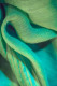 Flowing Green Fabric (PRT-15842-121707) - Canvas Art Print - 24in X 36in