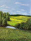 Whispering Meadows (ART-18425-122087) - Handpainted Art Painting - 20in X 24in