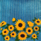 Golden Sunflowers (ART-17697-122333) - Handpainted Art Painting - 24in X 24in