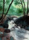 Stream 3 (ART-924-122560) - Handpainted Art Painting - 9in X 12in