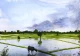 Farm (ART-5291-122583) - Handpainted Art Painting - 16in X 11in