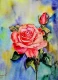 Rose (ART-18580-122570) - Handpainted Art Painting - 8in X 11in