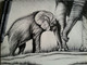 elephant,care,love,ink,Elephant Love,ART_35_11211,Artist : Saikat Choudhury,Ink