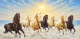 7 Running Horses As Per Vastu (ART-3319-123005) - Handpainted Art Painting - 48in X 30in