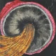 BOTTOM VIEW OF MUSHROOM (ART-18098-123103) - Handpainted Art Painting - 24in X 24in