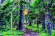 Dappled Sanctuary - Watercolour (PRT-16909-123631) - Canvas Art Print - 36in X 24in