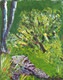 Forest,Forest,ART_1298_11143,Artist : Baba V,Acrylic