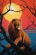 Lions-art-style (PRT-7809-123821) - Canvas Art Print - 12in X 18in
