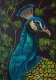 The Peacock (ART-6775-123825) - Handpainted Art Painting - 10in X 14in