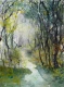 Misty Forest Pathway (PRT-8841-124345) - Canvas Art Print - 18in X 24in