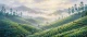 Morning Mist Over Munnar (PRT-15697-124996) - Canvas Art Print - 60in X 25in