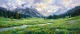 Summer Meadows Of Gulmarg (PRT-15697-124980) - Canvas Art Print - 60in X 25in