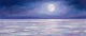 Moonlit Silence Over The White Rann (PRT-15697-125007) - Canvas Art Print - 60in X 25in