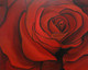 floral painting, red shade painting, red rose painting, rose painting, red flower painting,Life And Death,ART_1275_10999,Artist : Yashi Jain,Acrylic