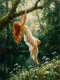 Suspended In The Glade (PRT-16861-124805) - Canvas Art Print - 45in X 60in