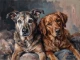 Gaze In Quiet Chiaroscuro (PRT-15697-125554) - Canvas Art Print - 60in X 45in
