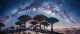 Galactic Canopy Of Socotra (PRT-15697-125510) - Canvas Art Print - 60in X 25in