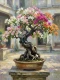 Ancient Courtyard Bougainvillea (PRT-15697-125922) - Canvas Art Print - 45in X 60in