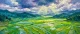 Ziro Monsoonal Emerald Panorama (PRT-15697-124990) - Canvas Art Print - 60in X 25in