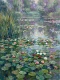 Reflections On Still Water (PRT-15697-125609) - Canvas Art Print - 45in X 60in