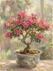 Veranda Blossom Elegance (PRT-15697-125927) - Canvas Art Print - 45in X 60in