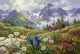 Alpine Bloom Beyond Shadows (PRT-15697-125870) - Canvas Art Print - 60in X 40in