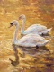 Gilded Waters Soft Embrace (PRT-15697-125605) - Canvas Art Print - 45in X 60in