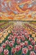 Tulip Love Nature (ART-19039-126346) - Handpainted Art Painting - 16in X 24in