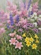 Blooms Of The Morning Sun (PRT-15697-126847) - Canvas Art Print - 45in X 60in