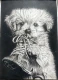 Little Paws, Big Love | Realistic Puppy Portrait | Monochrome Handmade Artwork (ART-19079-127208) - Handpainted Art Painting - 30in X 42in