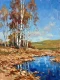 Birch Mirrors Along Deep Waters (PRT-15697-127093) - Canvas Art Print - 45in X 60in