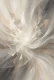 Cosmic Genesis Field (PRT-15697-127458) - Canvas Art Print - 40in X 60in