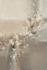 Ephemeral Desert Blossom (PRT-15697-127626) - Canvas Art Print - 40in X 60in