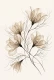 Whispers Of Translucent Petals (PRT-15697-127559) - Canvas Art Print - 40in X 60in