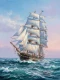 Symphony Of The Open Sea (PRT-15697-126795) - Canvas Art Print - 45in X 60in