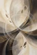 Resonance Of Cosmic Echoes (PRT-15697-127476) - Canvas Art Print - 40in X 60in