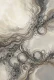 Ecological Continuum Field (PRT-15697-127461) - Canvas Art Print - 40in X 60in