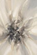 Radiant Eruption Of Light (PRT-15697-127643) - Canvas Art Print - 40in X 60in