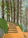 Misty Morning (PRT-2948-127771) - Canvas Art Print - 18in X 24in