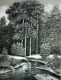 Forest River (ART-19251-127780) - Handpainted Art Painting - 18in X 24in
