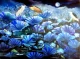LOTUS POND IN THE MOON LIGHT (ART-6525-128101) - Handpainted Art Painting - 48in X 36in