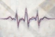 Fibrous Pulse Of Life (PRT-15697-128092) - Canvas Art Print - 60in X 40in