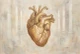Engraved Gold Heart Anatomy (PRT-15697-128095) - Canvas Art Print - 60in X 40in