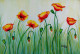 Nature, Floral, Poppy, Flowers,Poppy Flowers,ART_1462_11991,Artist : Divya Kakkar,Water Colors