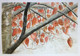 Snow, Forest, Fall, Winter, cold, freezing,Silent Snow,ART_1684_13895,Artist : Sandeep Pranoy,Water Colors