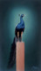 peacock,Peacock,ART_1090_14410,Artist : Mohan Verma,Oil