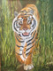 Tiger, wild animal,The Tiger,ART_168_14827,Artist : Subhash Gijare,Oil