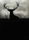 sunset, charcoal, deer, return home,Branch,ART_1830_14788,Artist : Pratip Dasgupta,Charcoal