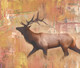 ,56Anm14,MTO_1550_15082,Artist : Community Artists Group,Mixed Media
